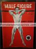 The Male Figure Magazine Vol 17 (1960) vintage erotica gay interest